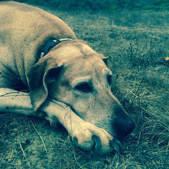 Meet your Posher, Kelli - Picture 1 of 1